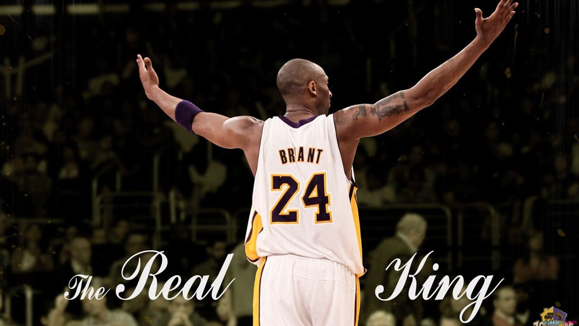 爱游戏-炉石传说“策略巨星”全球邀请赛耀眼登场，炉石传说2021巡回赛